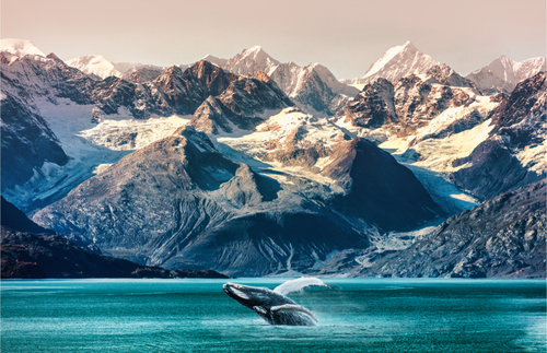Grab a Perk-Heavy Alaska Cruise at a Serious Discount Right Now—It's Fully Refundable | Frommer's