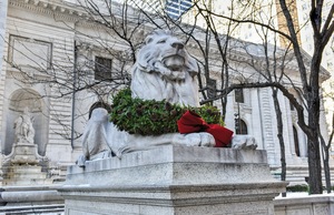 One of the lions in front of the New York Public Library with a Christmas wreath around its neck