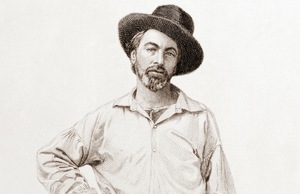 Steel engraving of Walt Whitman used for the frontispiece of the first edition of "Leaves of Grass"